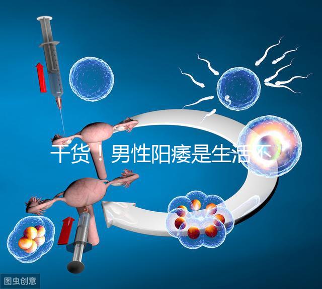 干貨！男性陽痿是生活不規(guī)律引起催乳激素偏高導致