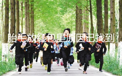 胎毛放紅包里原因已找到,對寶寶自身有好處是關鍵