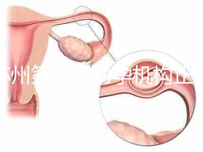 蘇州第三代助孕機(jī)構(gòu)正規(guī)可靠嗎?實(shí)地考察才為真