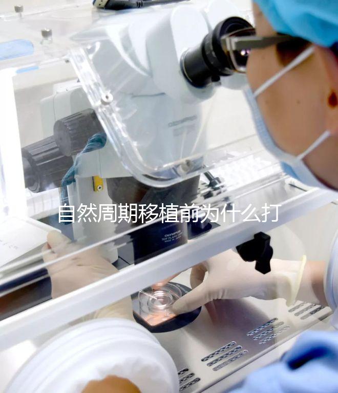 自然周期移植前為什么打絨促？作用不僅是提升妊娠率