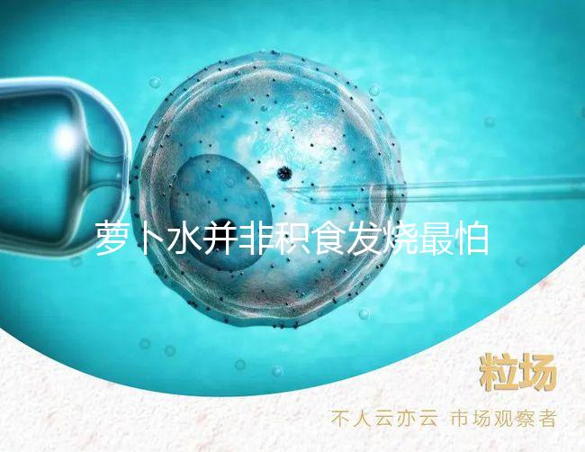 蘿卜水并非積食發燒最怕的1種水，天天煮這些喝胃口倍棒