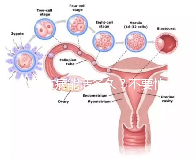 血友病能活多久?不要怕!注意這些同常人無(wú)異