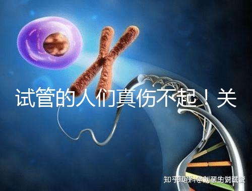 試管的人們真傷不起！關于養囊的成功率這些你得知道