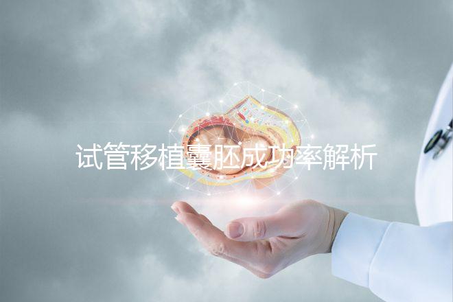 試管移植囊胚成功率解析：年齡與胚胎質(zhì)量成關(guān)鍵因素
