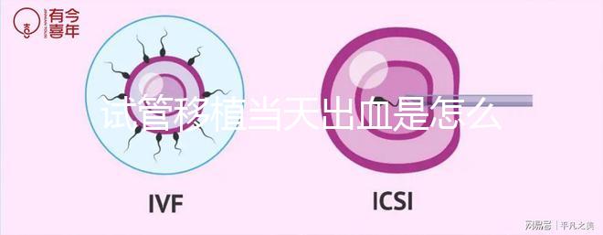 試管移植當(dāng)天出血是怎么回事？收好你的“玻璃心”別太擔(dān)心