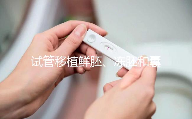 試管移植鮮胚、凍胚和囊胚哪個(gè)好?
