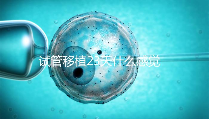 試管移植23天什么感覺(jué)都沒(méi)有正常嗎?血hcg值才是金標(biāo)準(zhǔn)