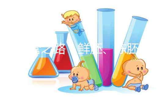 試管之路：鮮胚、凍胚、桑椹胚、囊胚，選擇哪種成功率更高？