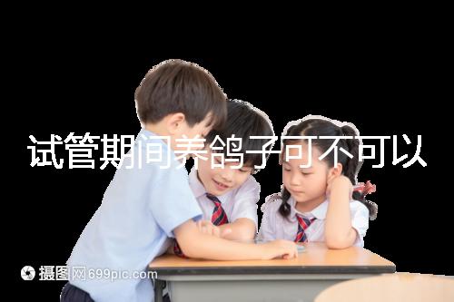 試管期間養鴿子可不可以大揭秘，影響抵抗力千萬注意