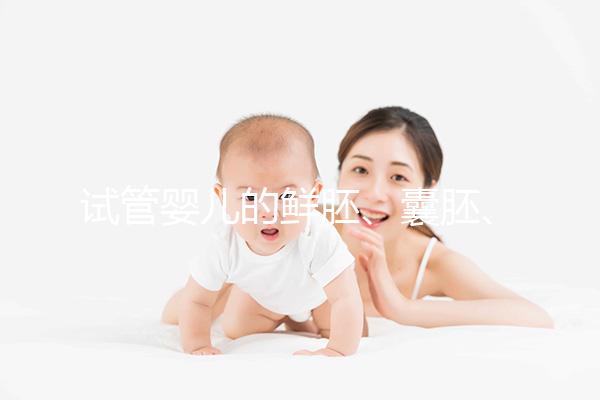 試管嬰兒的鮮胚、囊胚、凍胚，都有說明區別已經成功率