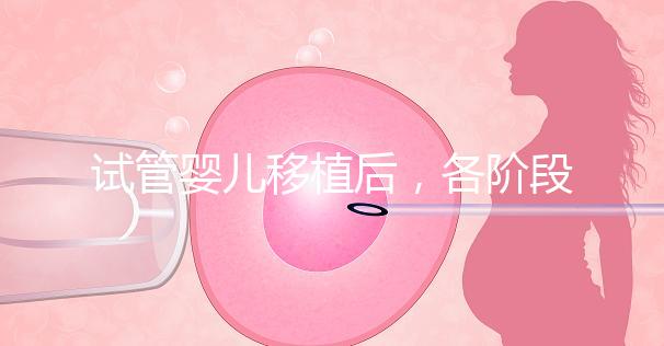 試管嬰兒移植后,各階段如何保胎?