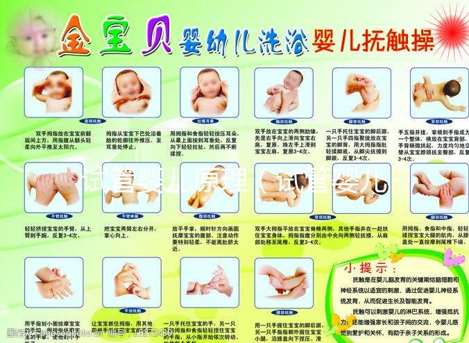 試管嬰兒原理（試管嬰兒原理及生產過程）