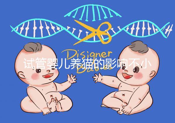 試管嬰兒養貓的影響不小,這三大危害一文說清楚
