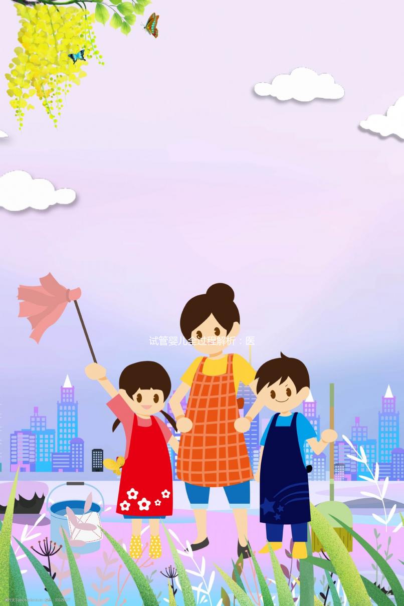 試管嬰兒全過程解析：醫院費用及步驟詳解