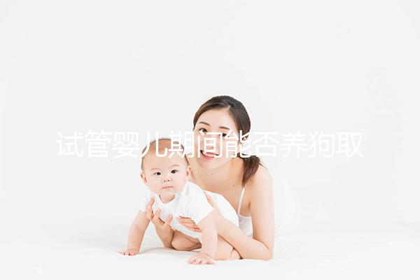 試管嬰兒期間能否養狗取決于情況，醫生：確保安全是前提