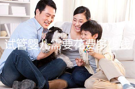 試管嬰兒需要花費多少錢?多少時間?