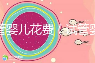 試管嬰兒花費(fèi)(試管嬰兒花費(fèi)多少錢?)
