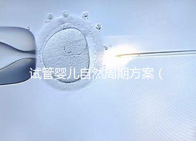 試管嬰兒自然周期方案(試管嬰兒自然周期方案B超監(jiān)測(cè)第15天了,卵泡還沒破咋辦)