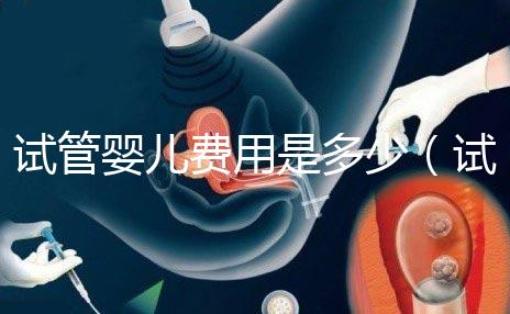 試管嬰兒費(fèi)用是多少（試管嬰兒費(fèi)用是多少錢）