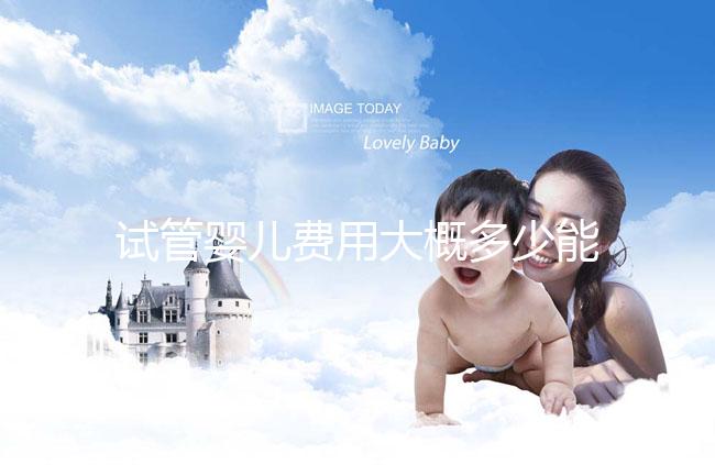 試管嬰兒費用大概多少能報銷住院（試管嬰兒費用大概多少能報銷住院費）