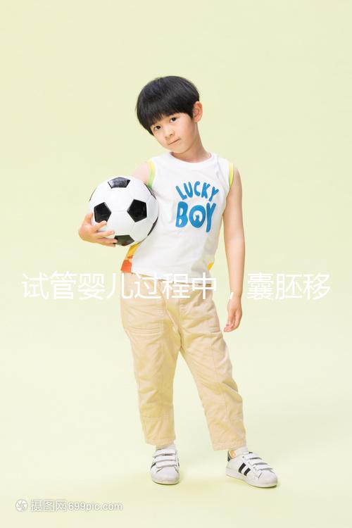 試管嬰兒過(guò)程中，囊胚移植和鮮胚移植到底哪個(gè)更好？