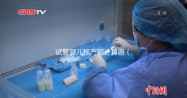 試管嬰兒預產期計算器(試管嬰兒預產期計算器查詢)
