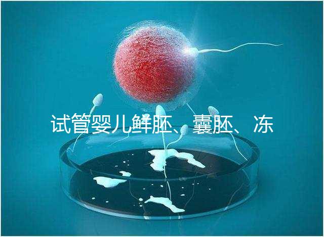 試管嬰兒鮮胚、囊胚、凍胚那個成功率高？
