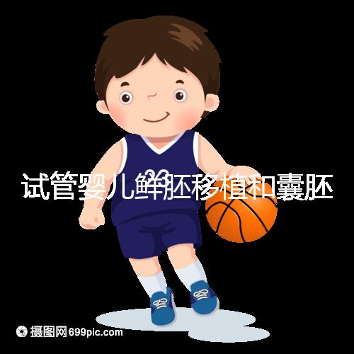 試管嬰兒鮮胚移植和囊胚移植的區別！哪個成功率高看完便知曉