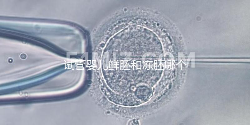 試管嬰兒鮮胚和凍胚哪個(gè)好(試管嬰兒鮮胚和凍胚哪個(gè)好一點(diǎn))