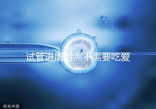 試管進周后需不需要吃愛樂維、要吃多久別瞎猜,真相在這