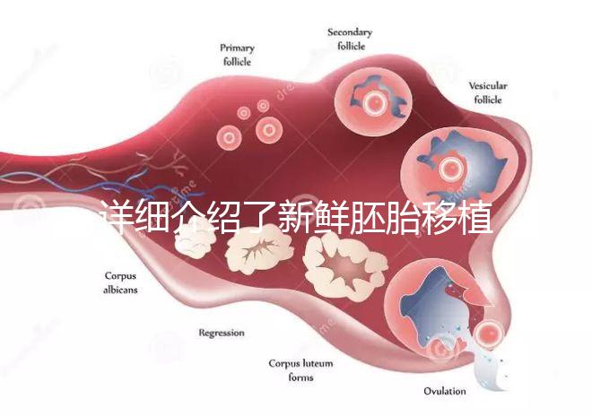 詳細(xì)介紹了新鮮胚胎移植后的生素對(duì)子宮的容受性是否好看完就清楚了