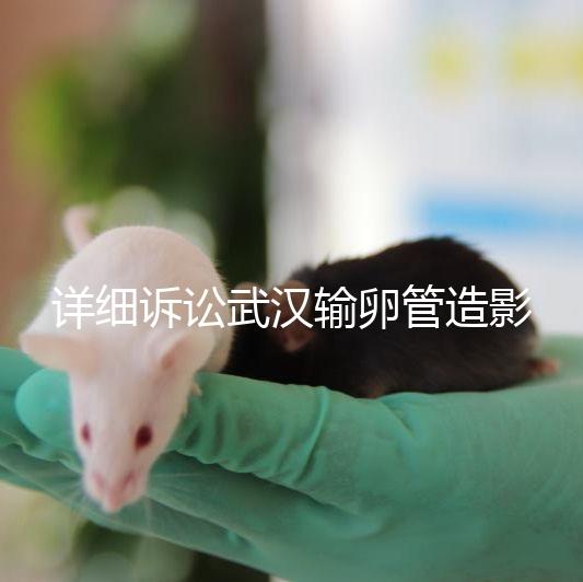 詳細訴訟武漢輸卵管造影檢查多少錢，能否報銷，不要錯過