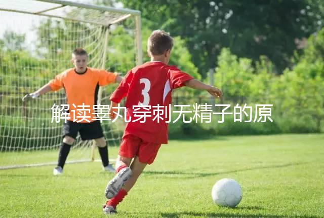 解讀睪丸穿刺無精子的原因，治愈性不大供精或是最后選擇