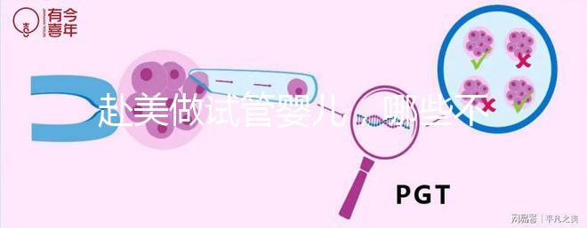 赴美做試管嬰兒，哪些不孕類問題更容易成功？