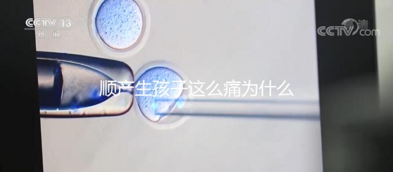 順產生孩子這么痛為什么大家能忍，這些真相非常戳心