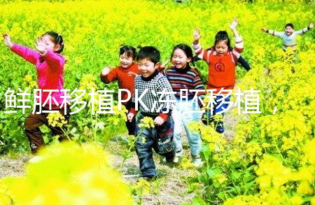 鮮胚移植PK凍胚移植，二者區(qū)別告訴你哪個好