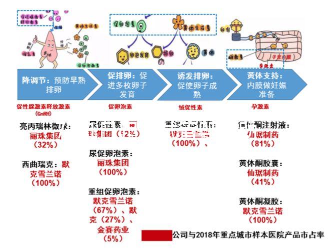 7月1日起，試管嬰兒助孕可醫(yī)保報(bào)銷(xiāo)啦！