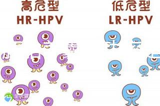 6個胚胎養囊成功率是多大答案在這，能配成3個機會就大