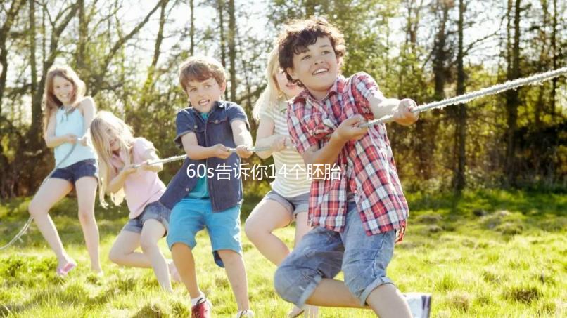 60s告訴你14個(gè)胚胎養(yǎng)囊能成多少,只有3個(gè)許是質(zhì)量不行