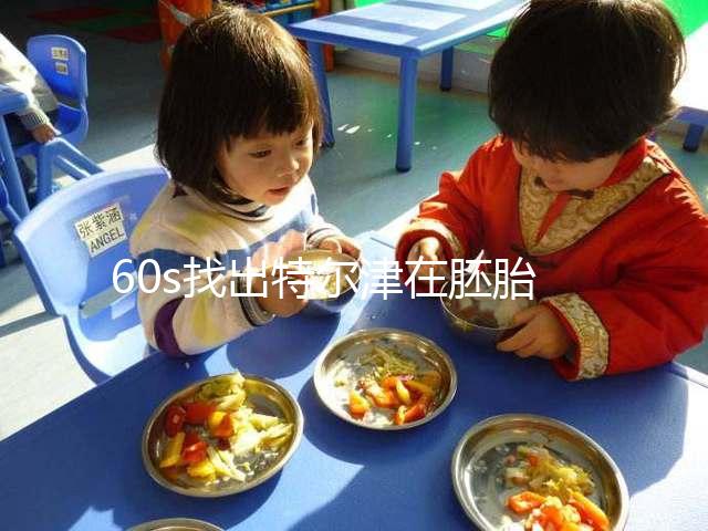 60s找出特爾津在胚胎植入中的作用，真的離不開(kāi)成功抱寶寶