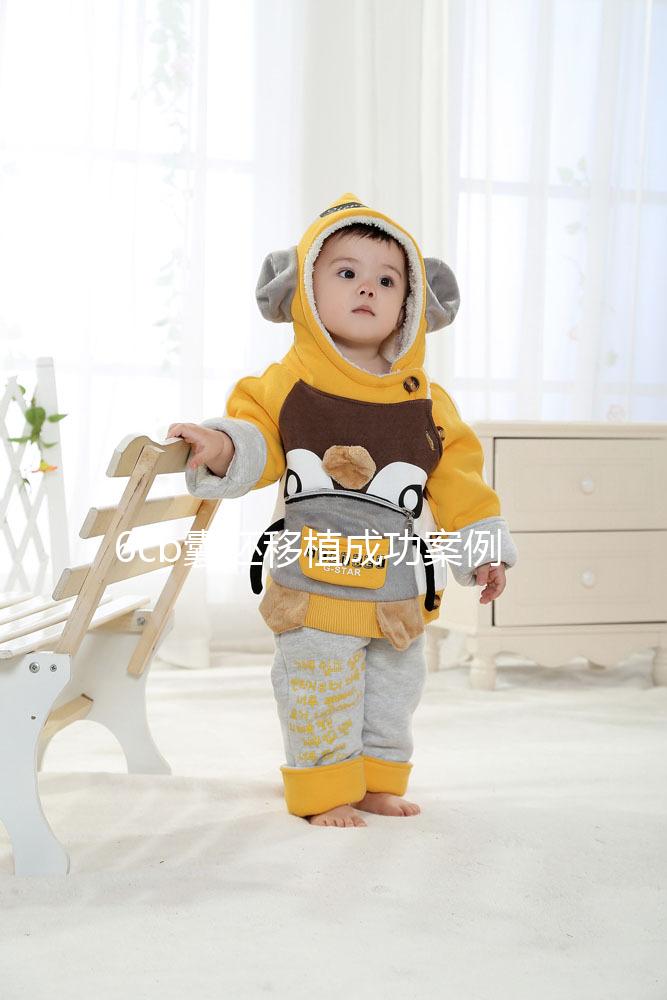 6cb囊胚移植成功案例并不少!過(guò)來(lái)人分享經(jīng)驗(yàn)帶你好孕