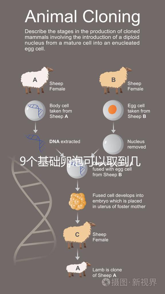 9個基礎卵泡可以取到幾個卵戳，促排后會不會增加很重要