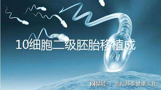 10細胞二級胚胎移植成功率解析，應(yīng)不應(yīng)該養(yǎng)囊答案在這
