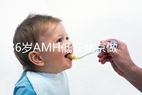 36歲AMH低在北京做試管嬰兒要花多少錢?哪里可以做?