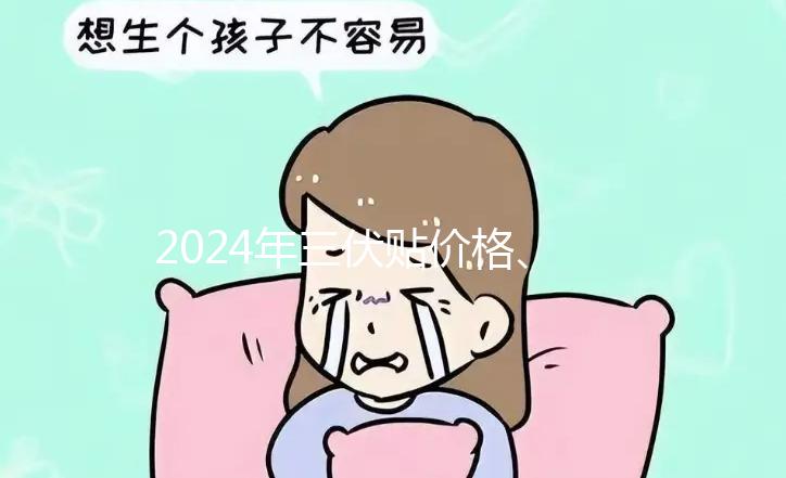 2024年三伏貼價格、品牌、單個療程費用大科普