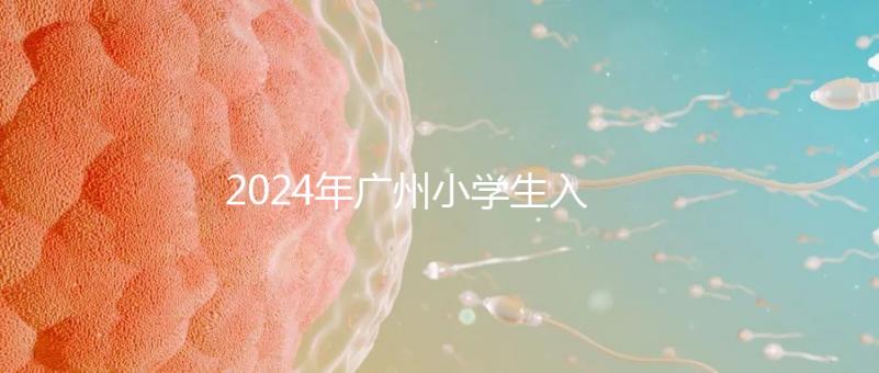 2024年廣州小學生入學年齡新規定，荔灣區6歲以上是基本條件