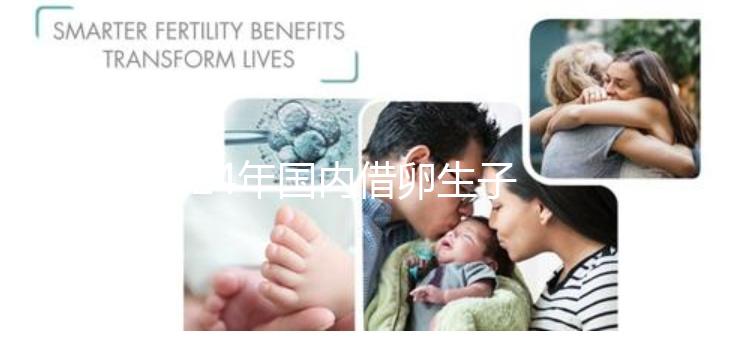 2024年國內借卵生子私立醫院哪里最好?上海集愛排名前三