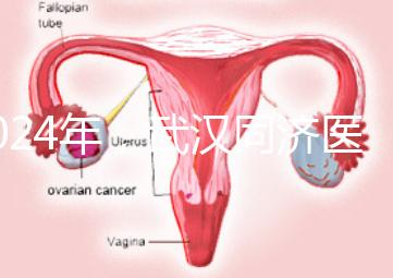 2024年，武漢同濟醫院不孕癥醫生排名公布，選擇專家迅速登記