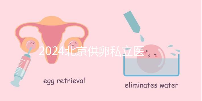 2024北京供卵私立醫(yī)院排行一覽，這三家機構竟在名單中