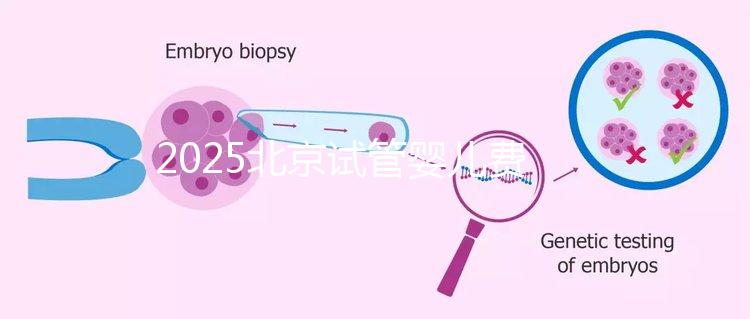 2025北京試管嬰兒費用全解析:價格明細及省錢指南